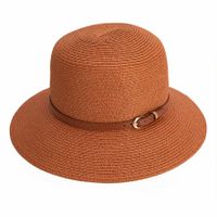 Коричневая шляпа Dispacci 22107_brick