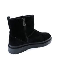 Baden қара уггилері VN009-010