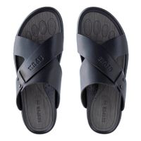 Der Spur қара шәркейлері PM332_01_01_SP