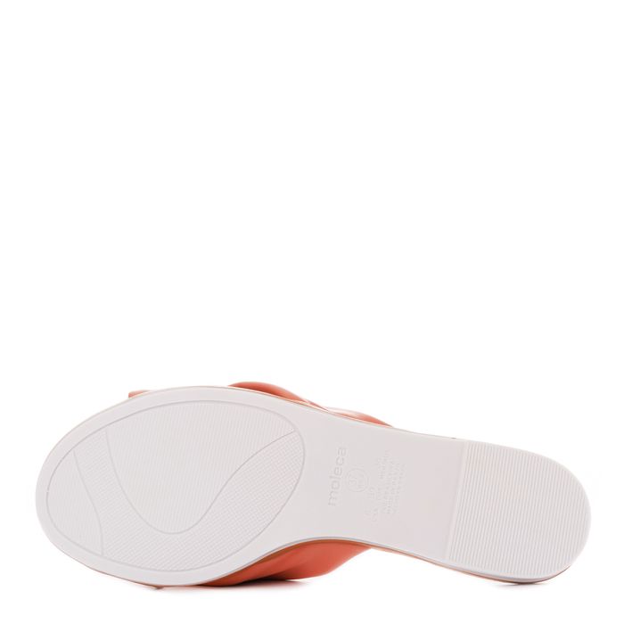 Moleca қызғылт шәркейлері 5297.456.18462-96095