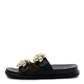 Vizzano қара шәркейлері