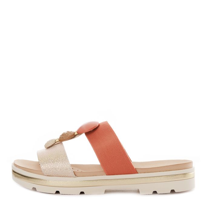 Modare мультиколор шәркейлері