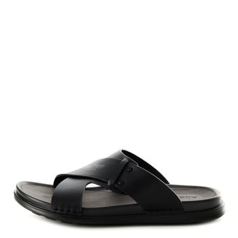 Audienz қара шәркейлері