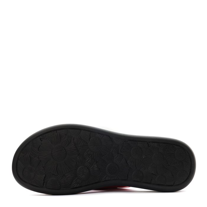 Audienz шәркейлері ME337-022