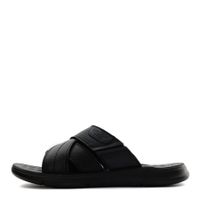 Audienz шәркейлері ZN025-211