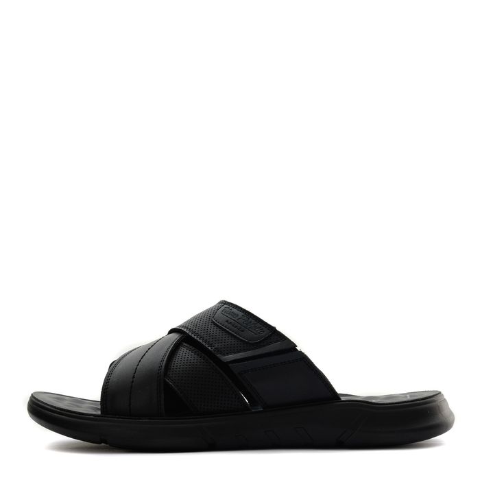 Audienz шәркейлері ZN025-211