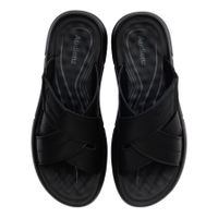 Audienz шәркейлері ZN025-211