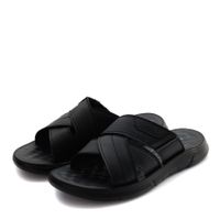 Audienz шәркейлері ZN025-211