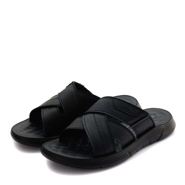 Audienz шәркейлері ZN025-211