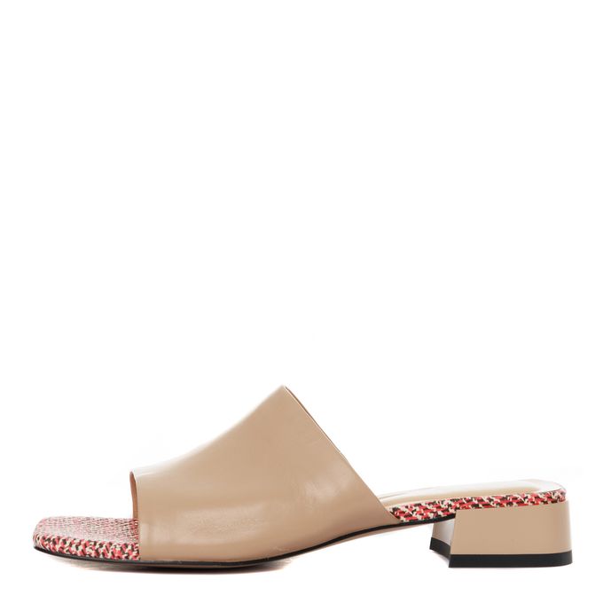 Audienz сарғыш шәркейлер тақасы