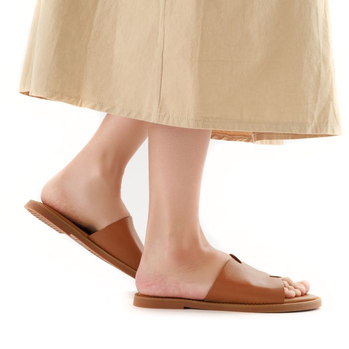 Tamaris қоңыр шәркейлері 1-27135-42-305/220