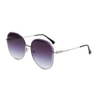 Серебристые очки Fabretti SJ02b-42