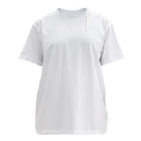 MNSN-TS-F01 JS-1913/170/255 Wreg