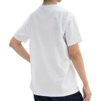 MNSN-TS-F01 JS-1913/170/255 Wreg