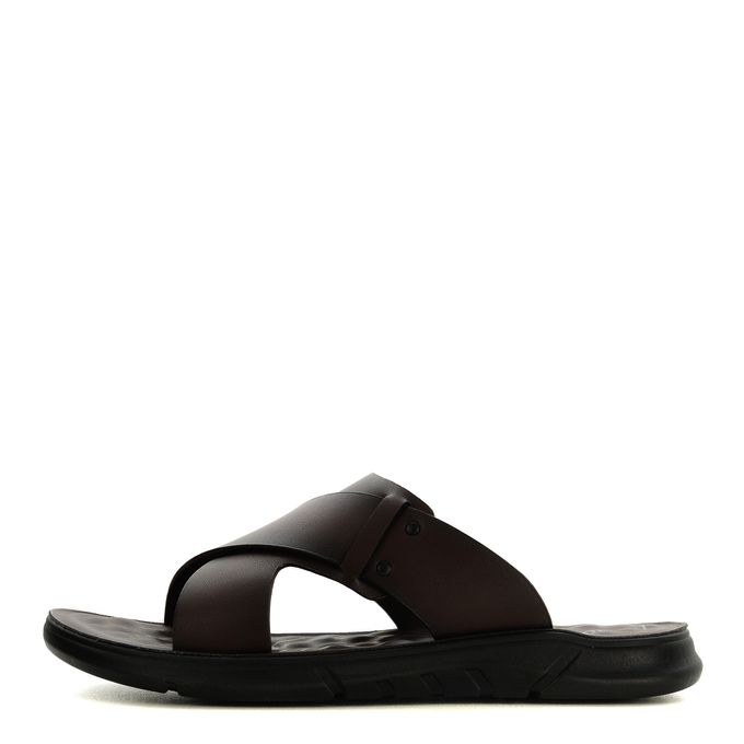 Audienz қоңыр шәркейлері