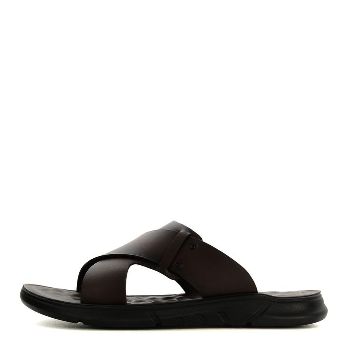 Audienz қоңыр шәркейлері ZN025-612