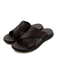 Audienz қоңыр шәркейлері ZN025-612