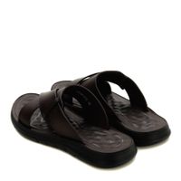 Audienz қоңыр шәркейлері ZN025-612