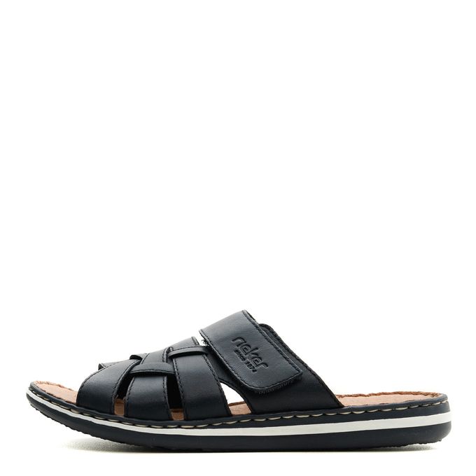 Шәркейлер көктары