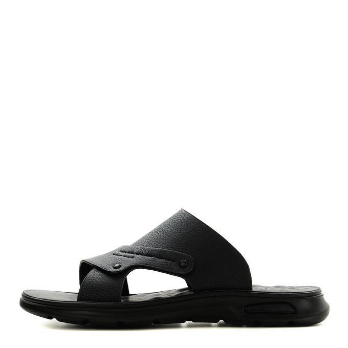 Audienz қара шәркейлері